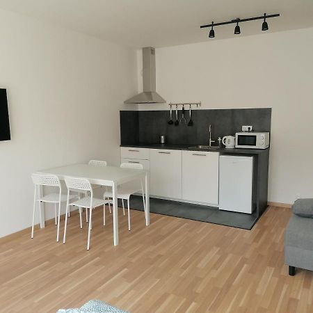 Brand New Studio Apartment #21 With Free Secure Parking In The Center Prague Extérieur photo