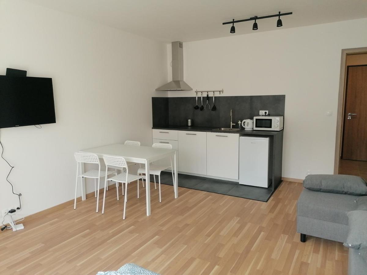 Brand New Studio Apartment #21 With Free Secure Parking In The Center Prague Extérieur photo