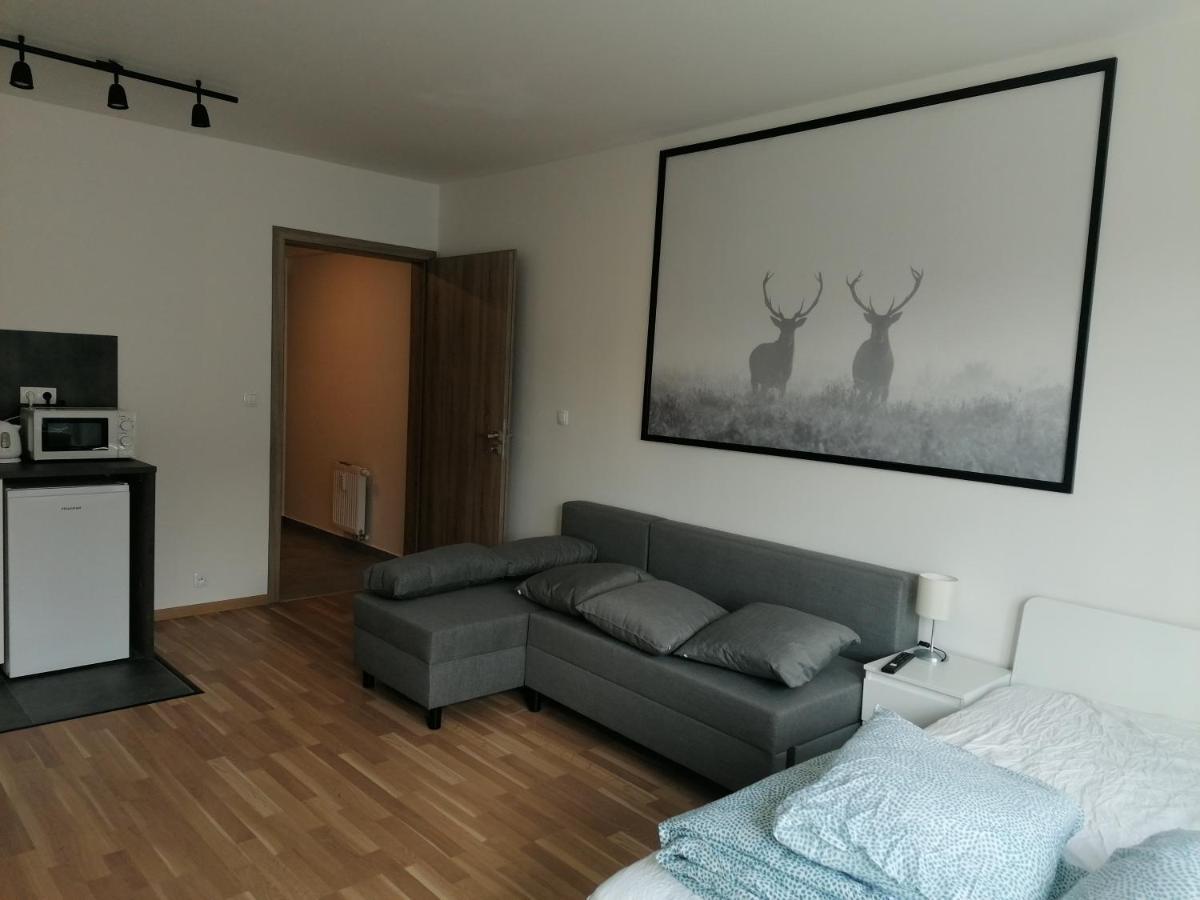 Brand New Studio Apartment #21 With Free Secure Parking In The Center Prague Extérieur photo
